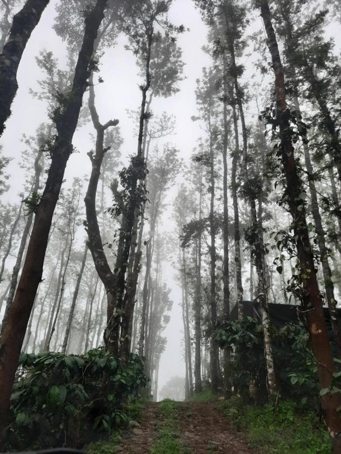 Coorg Happy Estate Stay Мадікері Екстер'єр фото